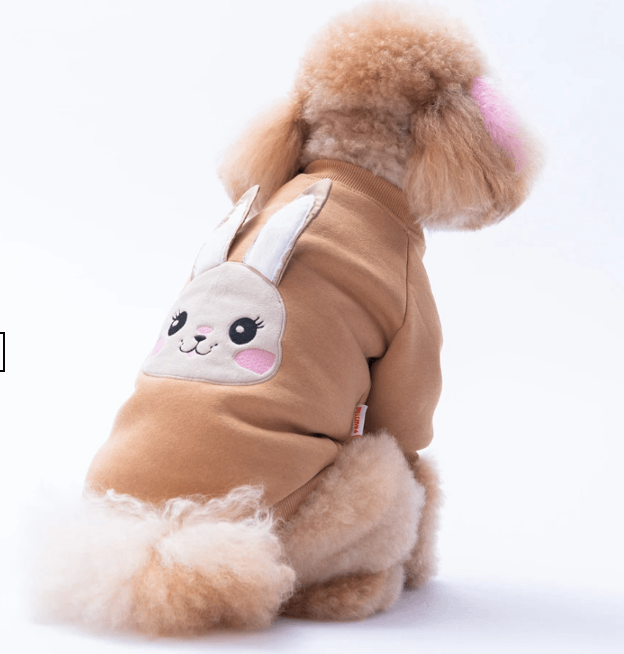 Kahverengi Dublin Hopper Sweat - Pawstar